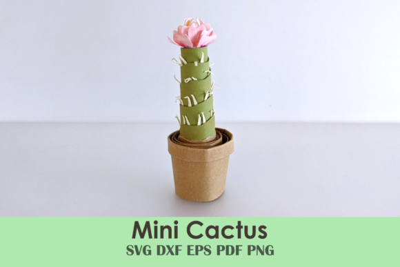 Mini Flowering Cactus Template DIY: 3D SVG Review