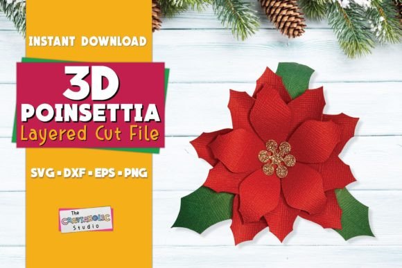 Poinsettia Christmas Flower: A Designer Review